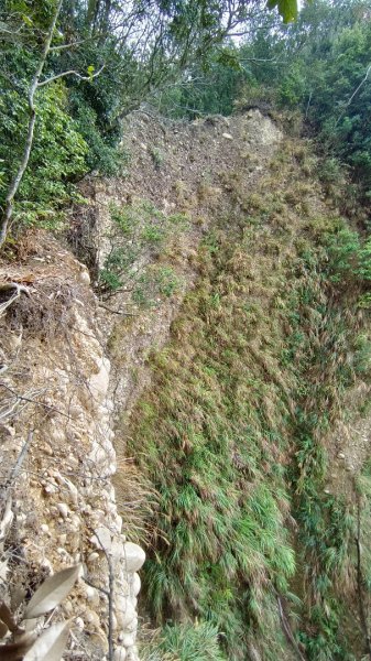 石苓湖山（頭嵙南峰）/黑山/黑山北峰/頭嵙山1585863