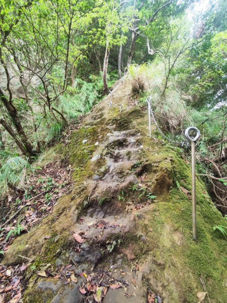 微笑山線五分山系菁桐-平溪-望古2881212