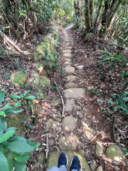 【新竹縣新埔鎮】飛龍步道2833135