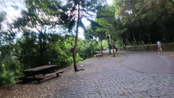 仁山植物園1747599