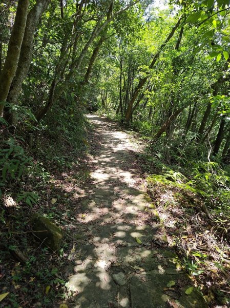 台北大縱走第五段 捷運劍潭站至碧山巖2800518