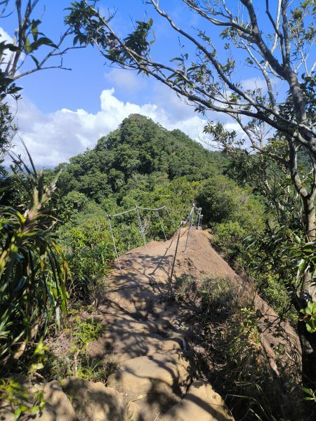 20251018微笑山線：【二格山系】皇帝殿稜線段2918655