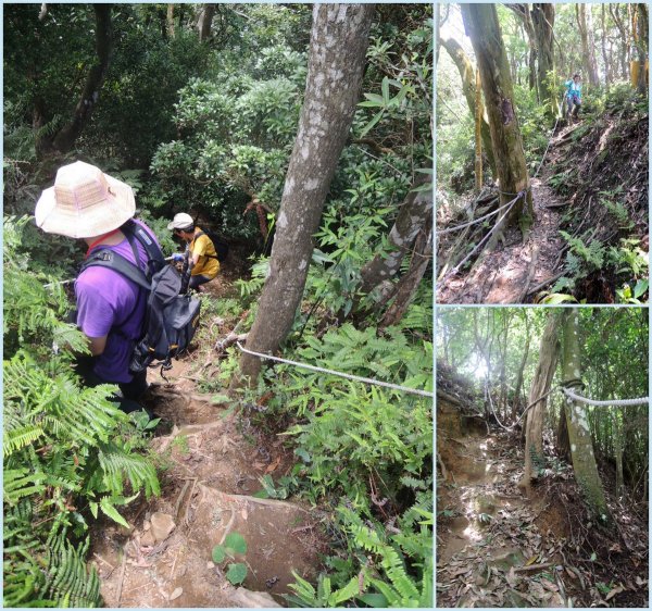 獅潭仙山步道444243