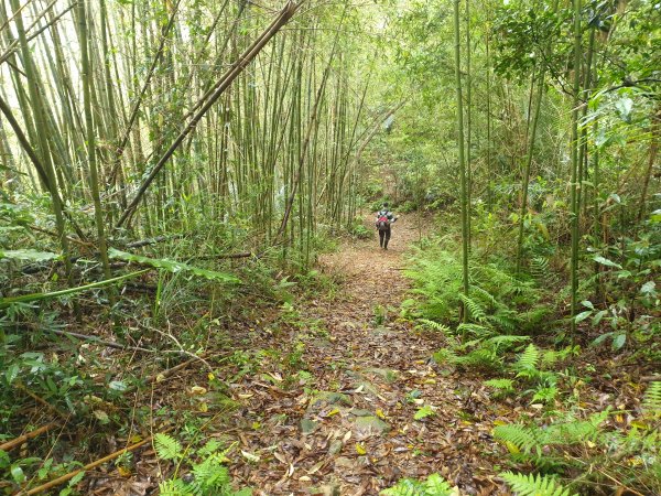 人生之中有點可怕的登山行程......玉女山、金童山及汶水山1552817