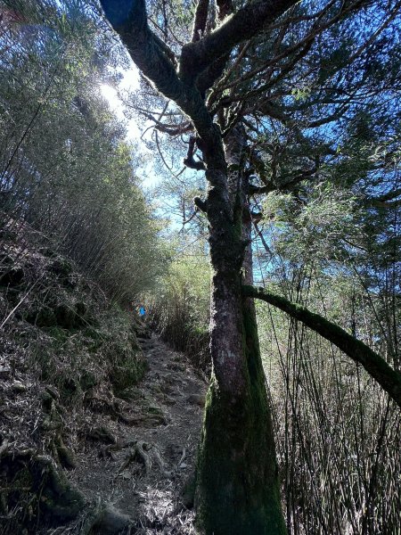 小奇萊步道2777620