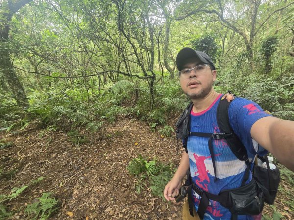 20260730茶山步道-五爪崙山-半嶺山-倒照湖山（未果）3098797