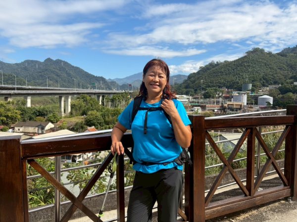 苗栗出磺坑古道、銅纙坑菊2951572