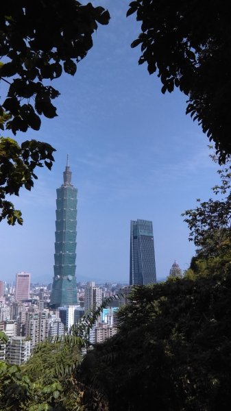 【臺北大縱走6】象山南港山縱走九五峰虎山942809