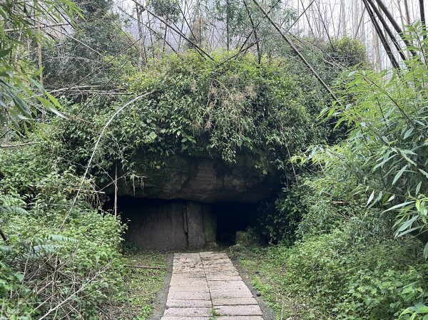 [嘉遊好步道．來嘉走走-04/10] 2024_1011 阿里山頂湖步道2624705