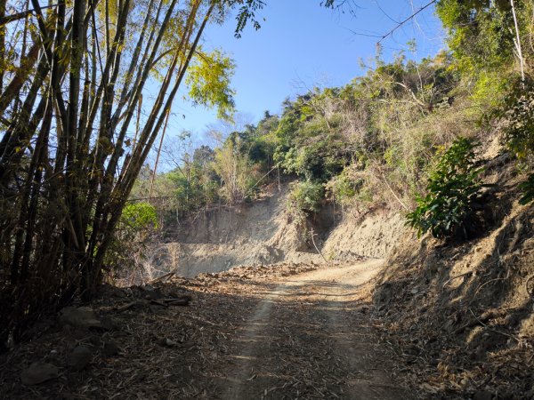 2026-02-10 白雲山2999923