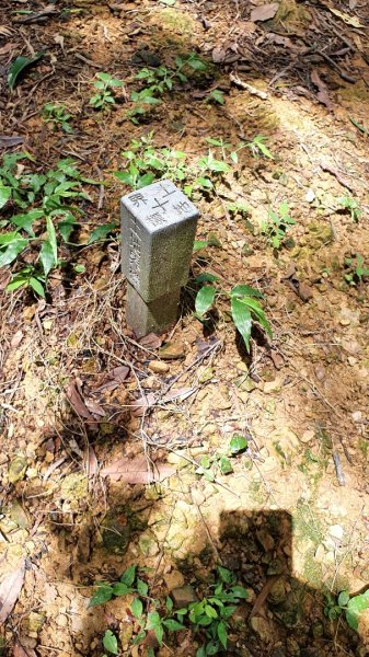 紫微聖母環山步道，五尖山，原住民族生態公園，大平紅橋，三坑自然生態公園1746432