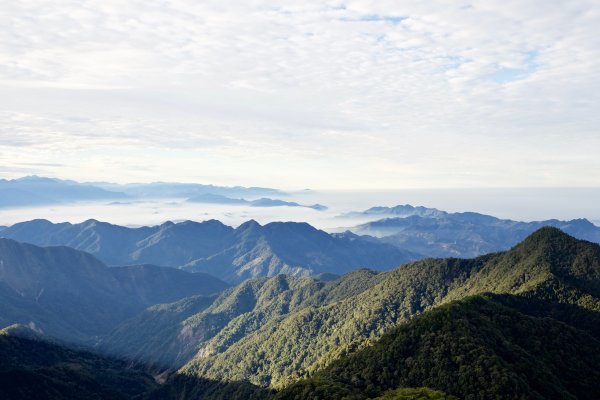 鳶嘴稍來山：晨曦與林相529059