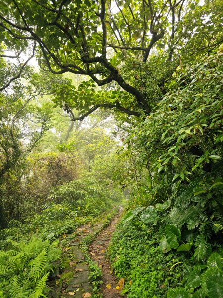 2026年臺北大縱走第六段：中華科技大學至捷運麟光站3026027