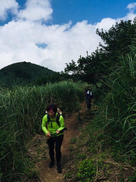 大屯群峰（北南峰）1070768