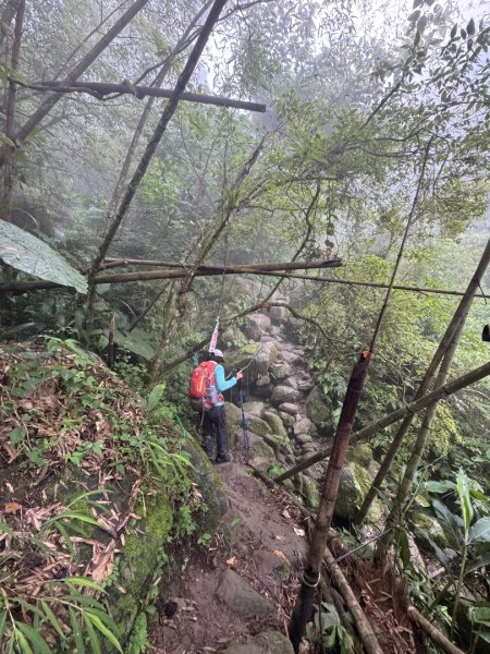 豹牙登山口上鳳凰山/小百岳#533069658
