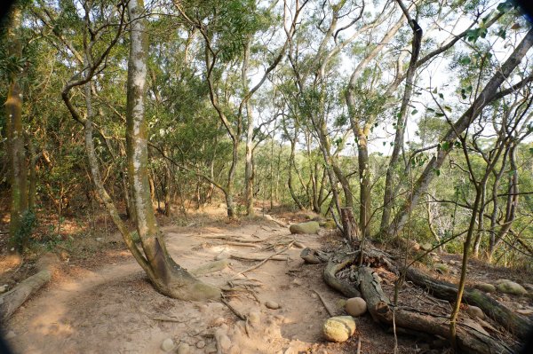 苗栗 三義 火炎山、南火炎山3020866