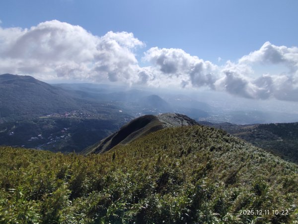 【臺北大縱走 2】【第二回合全程完成證書】鞍部→大屯山步道→大屯山主峰→大屯坪步道→二子坪步道2960388