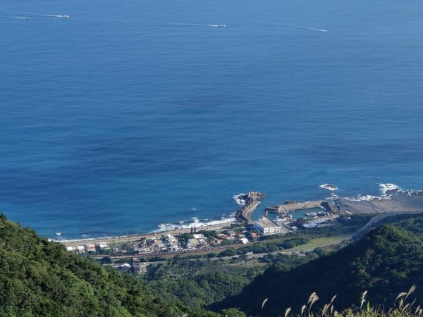 2023.11.23 桃源谷內寮線登灣坑頭山2503638