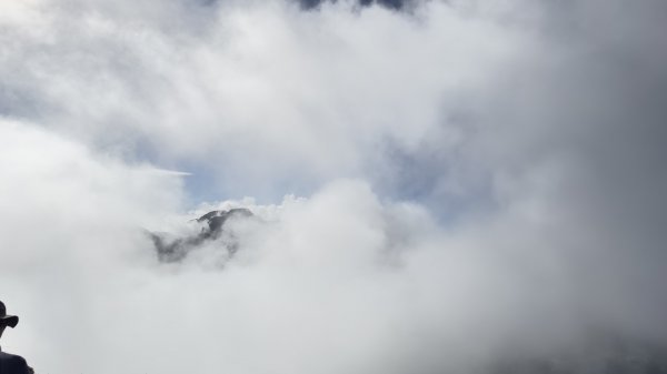 我的第一個百岳~合歡北峰+石門山          氣溫19~11度2315953