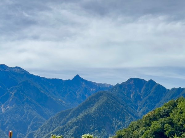 新中橫看玉山 首訪鹿林神木2836970