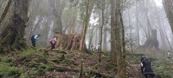 20231009_佳保台山+八仙山步道2307938