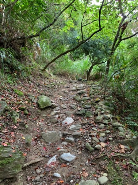 白牆版錐麓古道487166