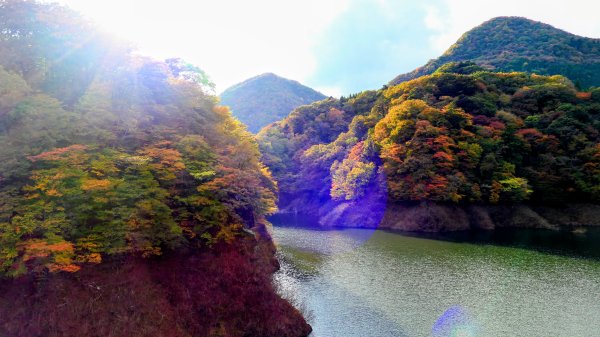 栃木縣紅葉谷大吊橋2930318