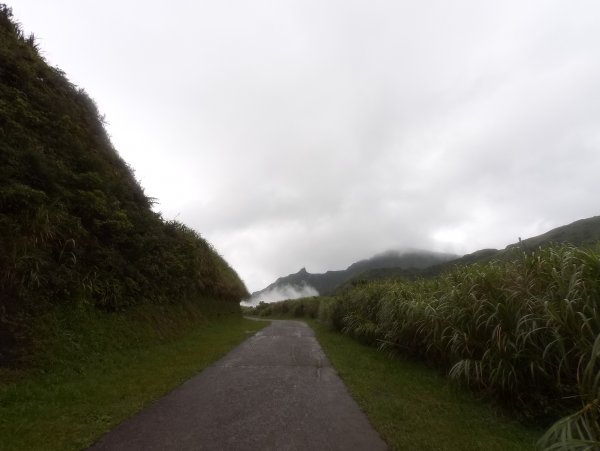 20200525樹梅坪、燦光寮、貂山古道977115