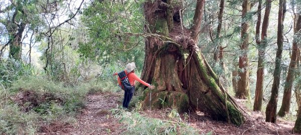 水漾森林、鹿屈山、眠月神木2729649