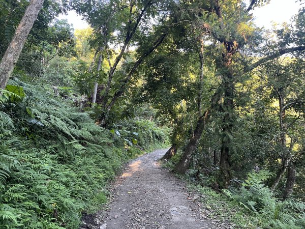 [玉山尋寶任務-03/12] 2025_0810 瓦拉米步道2857358