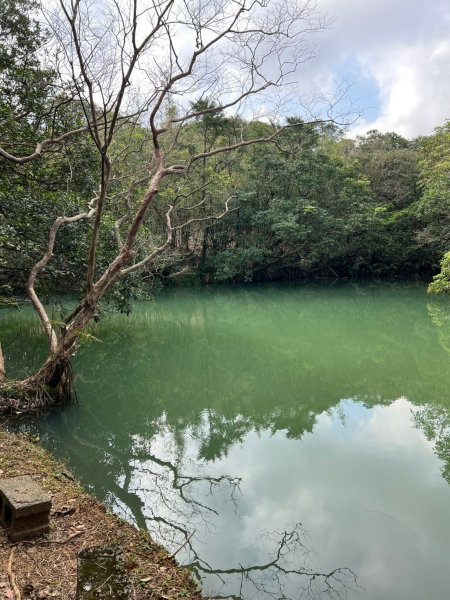 2025-01232淡蘭古道北二段(燦光寮古道到澳底)2696695