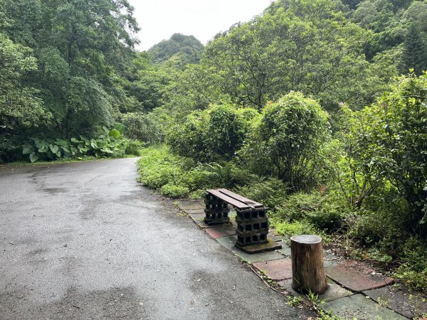 [微笑山線_第三段] 2025_0720 鳶山山系_鳶尾山2843639