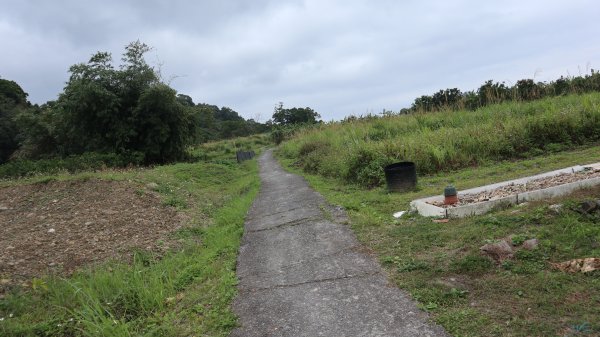 大修宮步道登山健行趣(步道)2122836