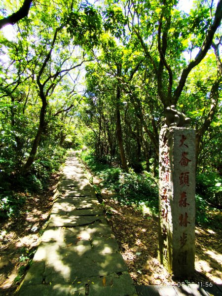 【臺北大縱走 4】大崙頭山北面步道→五指山古道→雙溪溝古道2874370