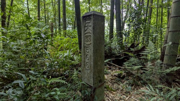 鳳凰山步道（溪頭）2838215