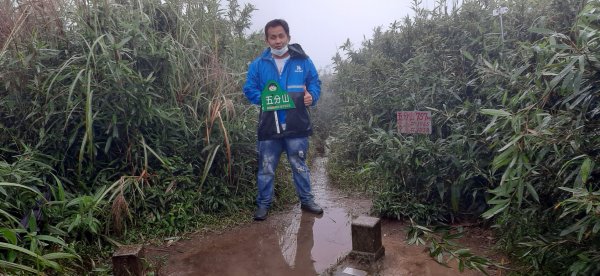 小百岳:五分山1519251