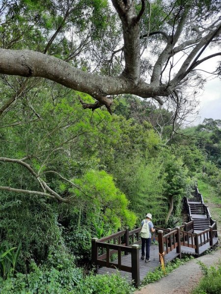 《台中》后里鳳凰山觀音山步道O巡08301083680