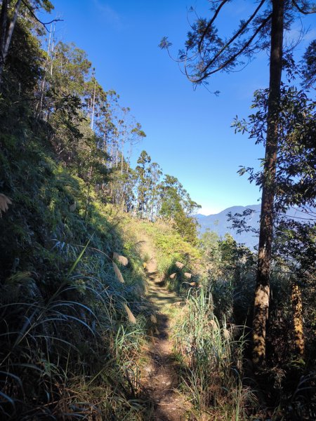 2025-12-21 武界山、獅凸魯山、橫屏山、橫屏山西峰2969713