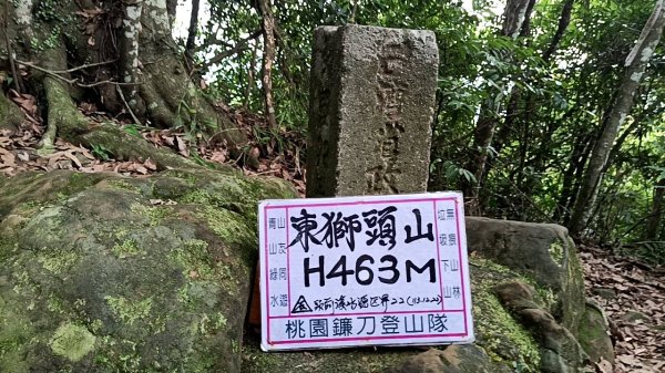 20250531 新竹關西 赤柯山及東獅頭山 O型2801109