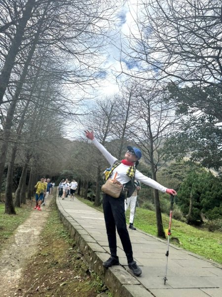 悠遊陽明山(東進東出陪復健2739522