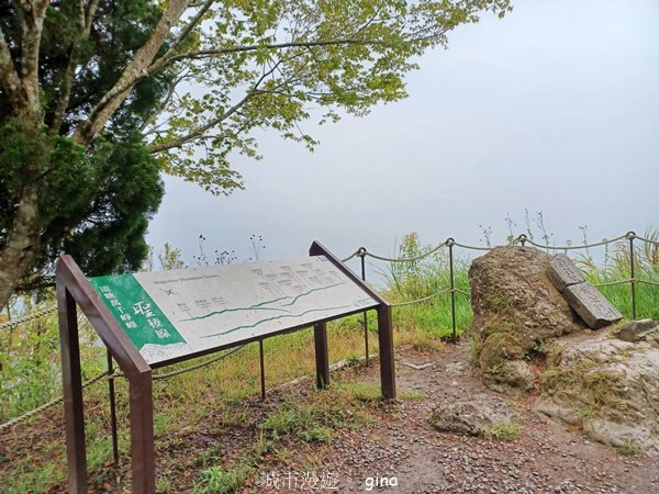【苗栗大湖】山頂展望佳等到雲海。 馬那邦山登山步道2806813