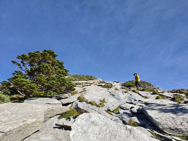 北一段(08/14)陶塞峰 2025_0906~132886958