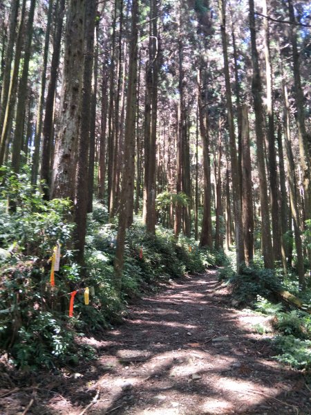 神阿縱走-大塔山1688481