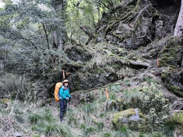 中央尖山四天20260412~153037946