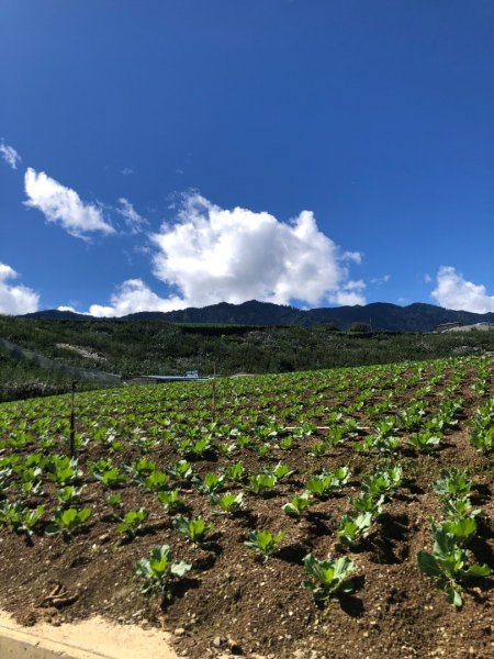 平岩山、勝光山縱走2257806