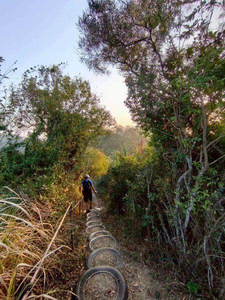 20251213 高雄觀音山15連峰🤔一直走不回頭繞2961523