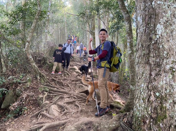 馬那邦山.細道邦山【你 不能預判山的變幻莫測】2401485