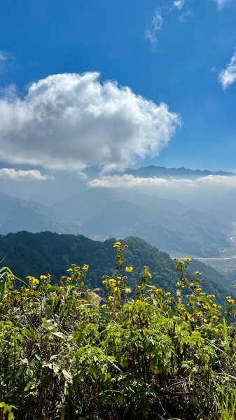 馬那邦山O走2370116