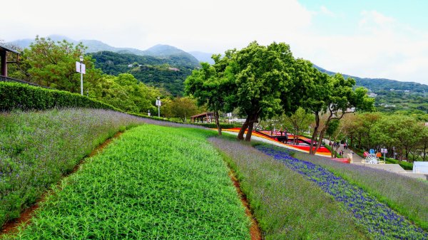 北投社三層崎3010985