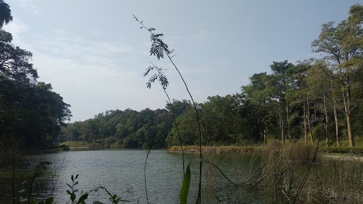 2020 2/4 虎頭埤878928